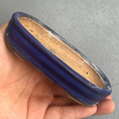 Japanese TOKONAME Bonsai pot HATTORI signed Blue glazed Rectangle w5" /403