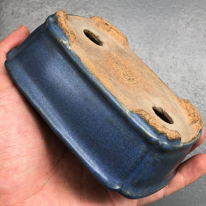Japanese TOKONAME Bonsai pot HATTORI sign Blue glaze Outer edge Rctgl w4.8" /425