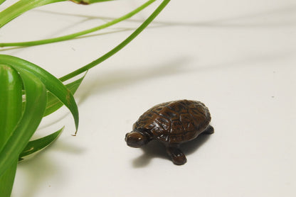 TENPAI TEMPAI turtle and snail Accompanying Bonsai ornament alloy figure L1.6"