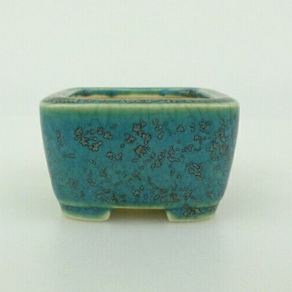 Japanese Bonsai pot SEIKO signed Green glazed MAME SESSOKU Square w1.7" /407