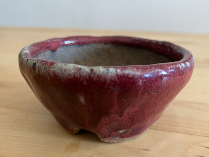 Japanese bonsai pot ECHIZEN BUNZAN signed MAME round brown glazed New φ2.8" #22