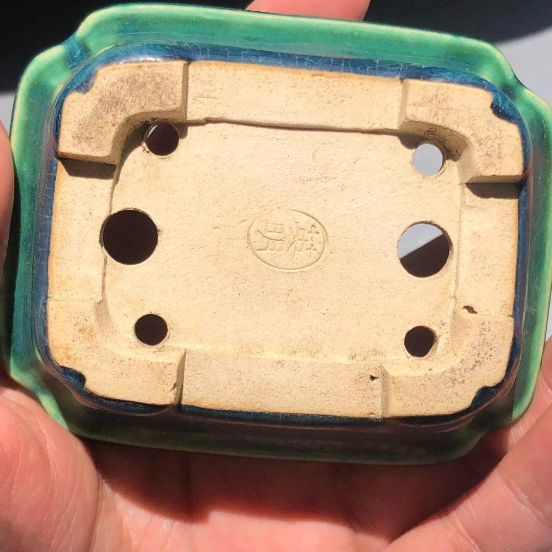 Japanese TOKONAME Bonsai pot YOZAN kiln EIMEI signed Green glazed w3.3" /404