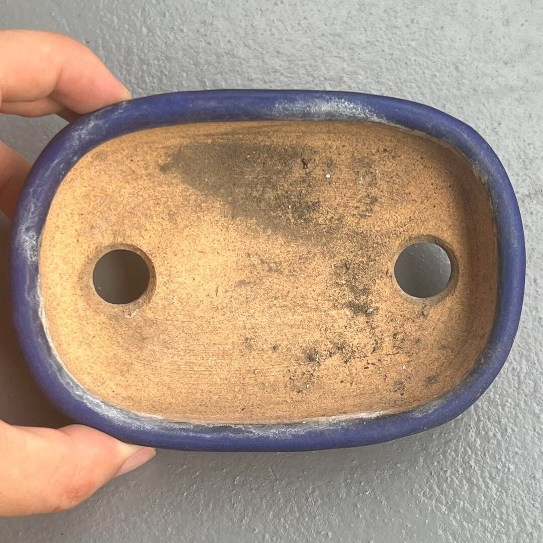 Japanese TOKONAME Bonsai pot HATTORI signed Blue glazed Rectangle w5" /403