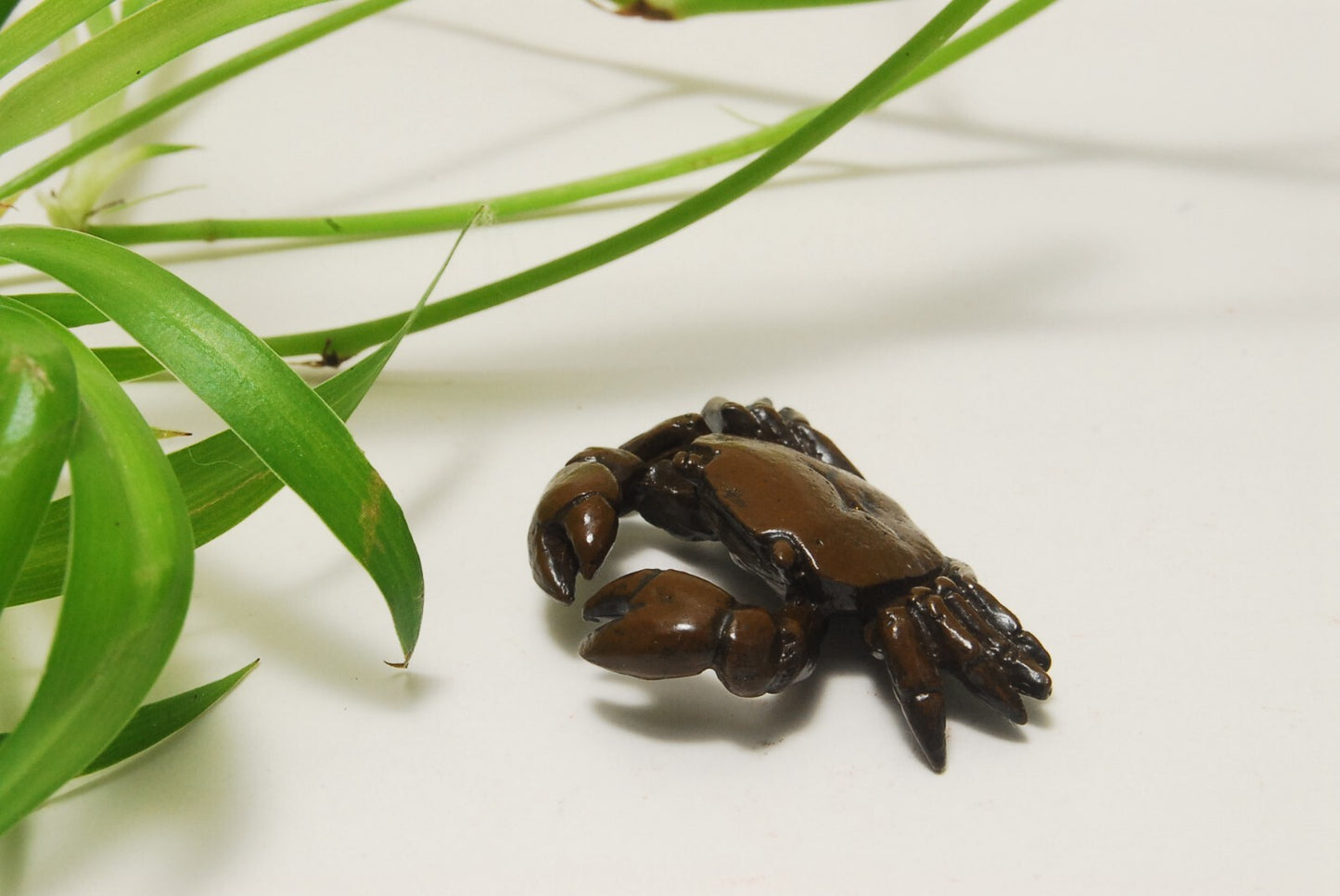 TENPAI TEMPAI crab and frog Accompanying a Bonsai ornament alloy figure L1.6"