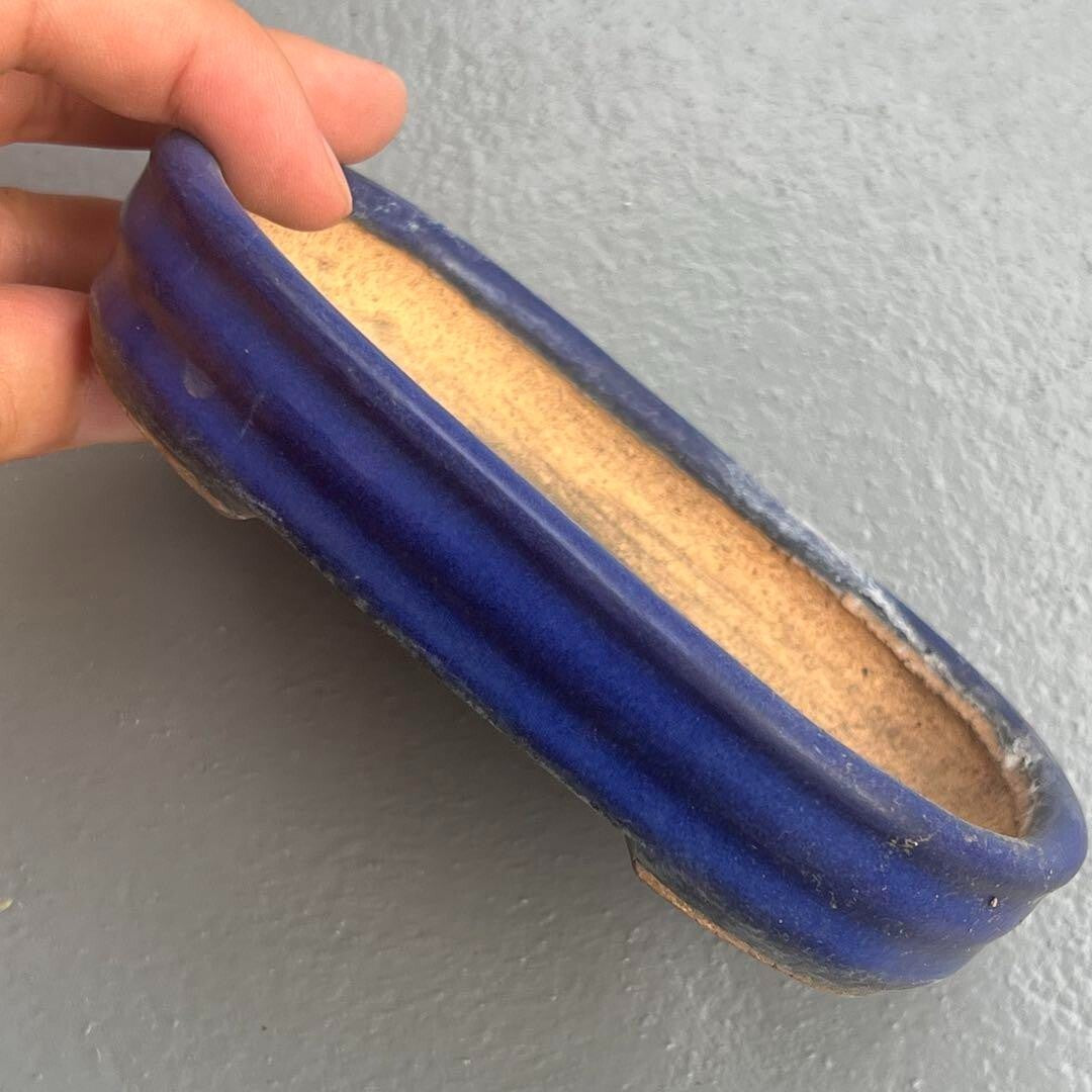 Japanese TOKONAME Bonsai pot HATTORI signed Blue glazed Rectangle w5" /403