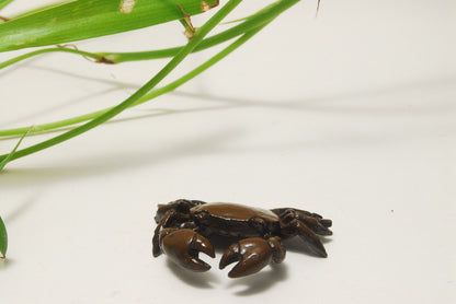 TENPAI TEMPAI crab and frog Accompanying a Bonsai ornament alloy figure L1.6"