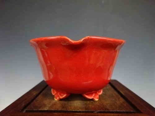 Japanese Bonsai pot FUKA signed Coral glazed RINKA Round Red φ3.7" /424