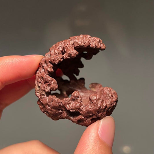 Japanese bonsai pot SHUDEI Red clay Unique round shape MAME w1.8" /365