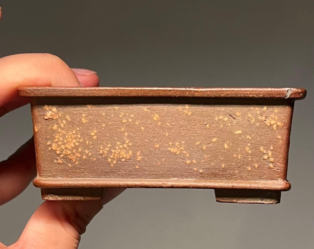 Japanese Bonsai pot HEIAN KOSEN signed SHIDEI Pear skin Square w3.9" /439 11