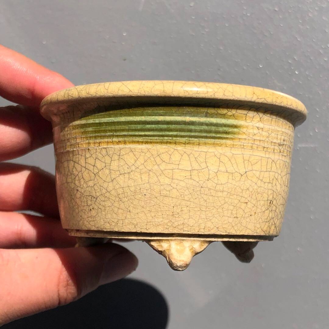 Japanese bonsai pot YOZAN sign SETO crackle Glazed cream cloud foot φ3.5" /291