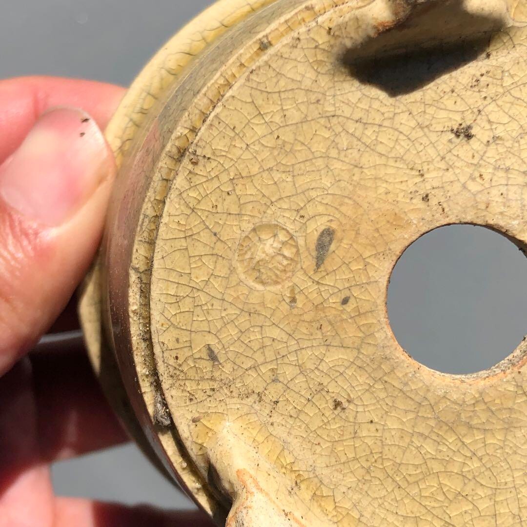 Japanese bonsai pot YOZAN sign SETO crackle Glazed cream cloud foot φ3.5" /291