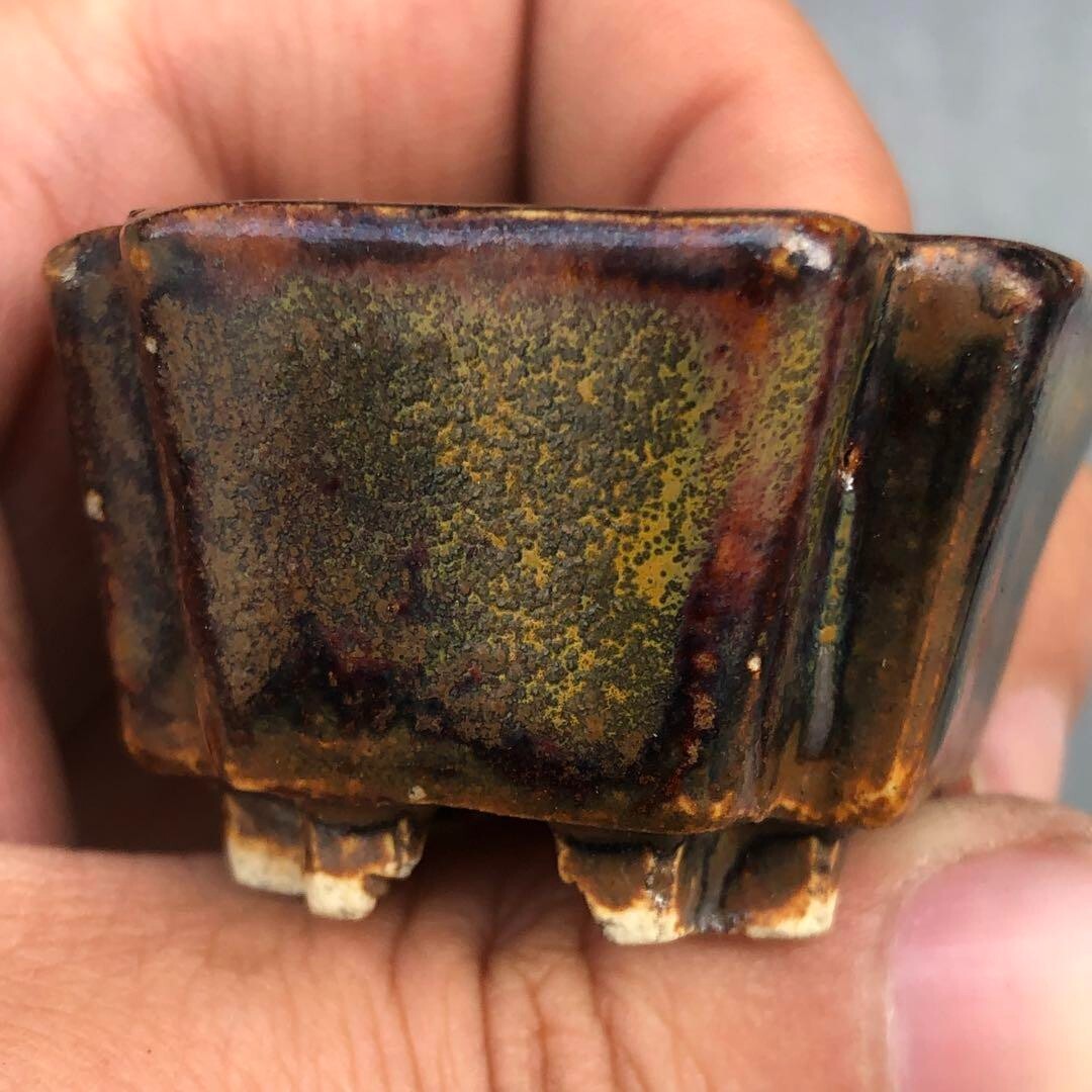 Japanese bonsai pot MUTO brown glazed square corner shaped MAME w1.7" /280