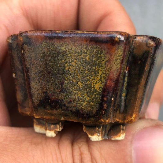Japanese bonsai pot MUTO brown glazed square corner shaped MAME w1.7" /280