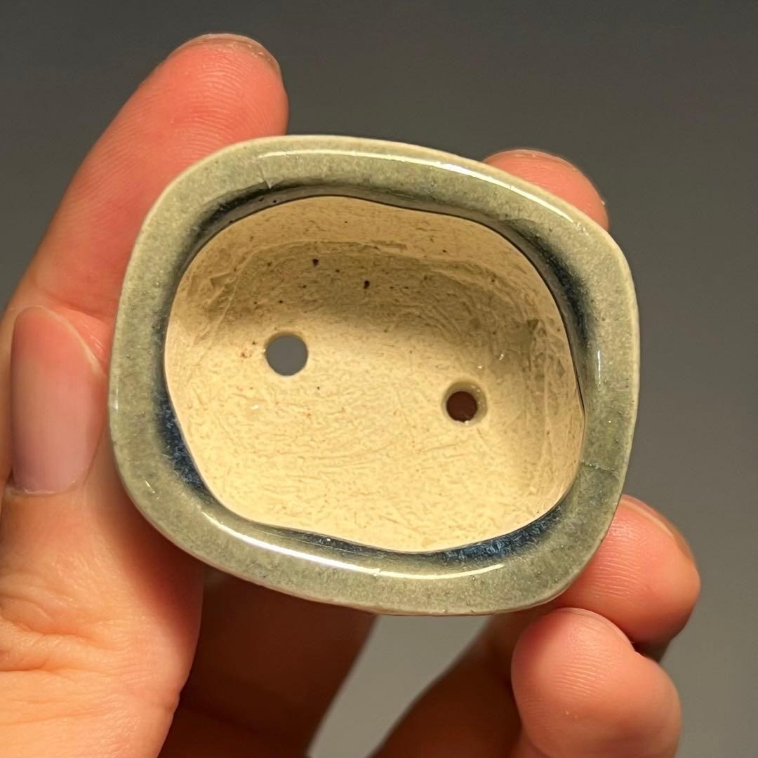 Japanese Bonsai pot MACHINAO IMAOKA signed Green glazed MAME Rectangle w1.7"/440