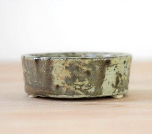Japanese bonsai pot AKIMUNE AIGAKE Double glazed Green gray Shallow φ2.2" /319