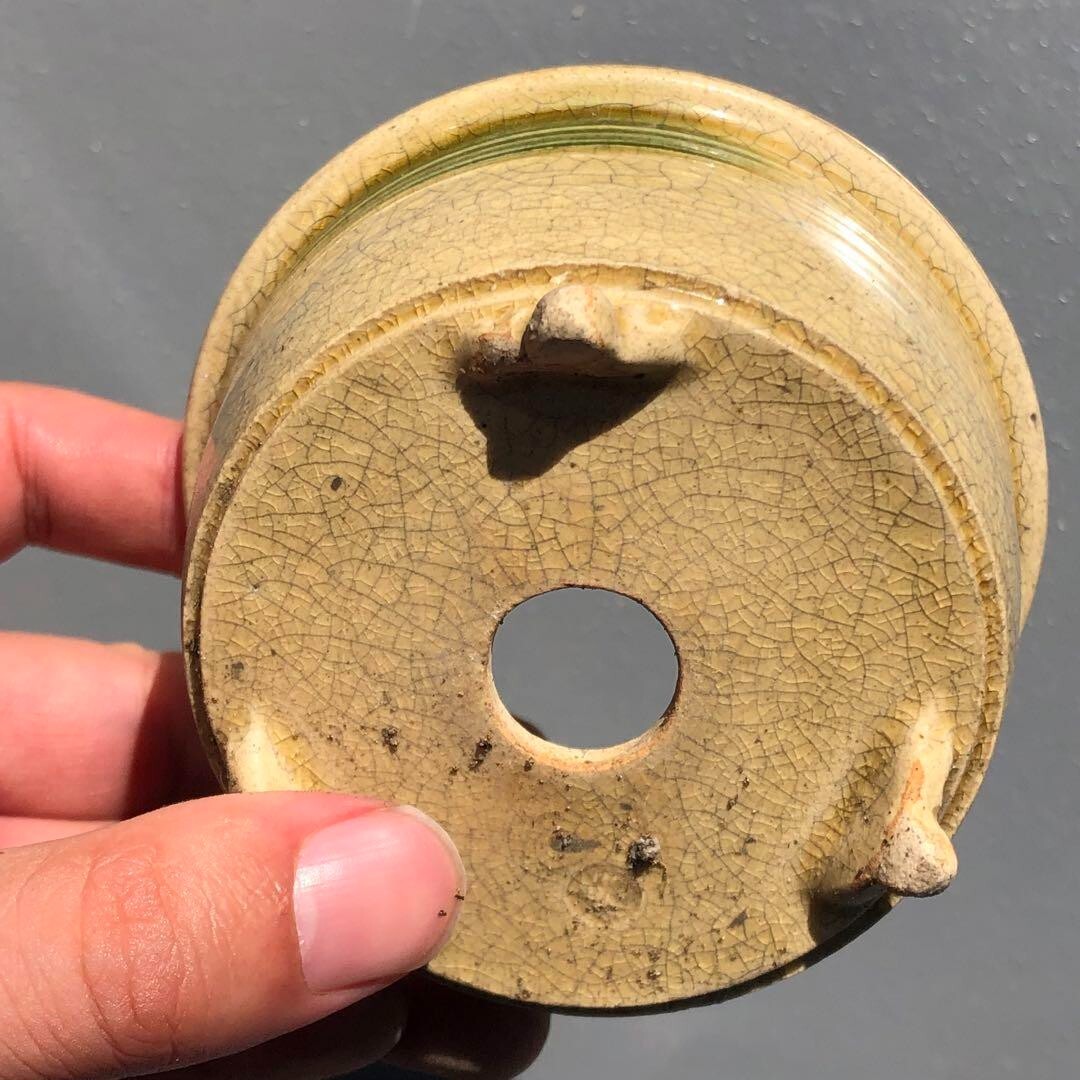 Japanese bonsai pot YOZAN sign SETO crackle Glazed cream cloud foot φ3.5" /291